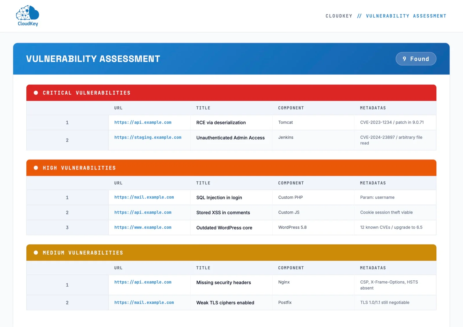 Sample report of vulnerability findings grouped by critical, high and medium severity with CVE metadata, prepared for example.com